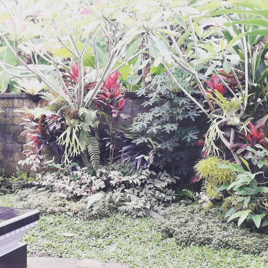 D'Sari Undisan Houses Bangli ภายนอก รูปภาพ